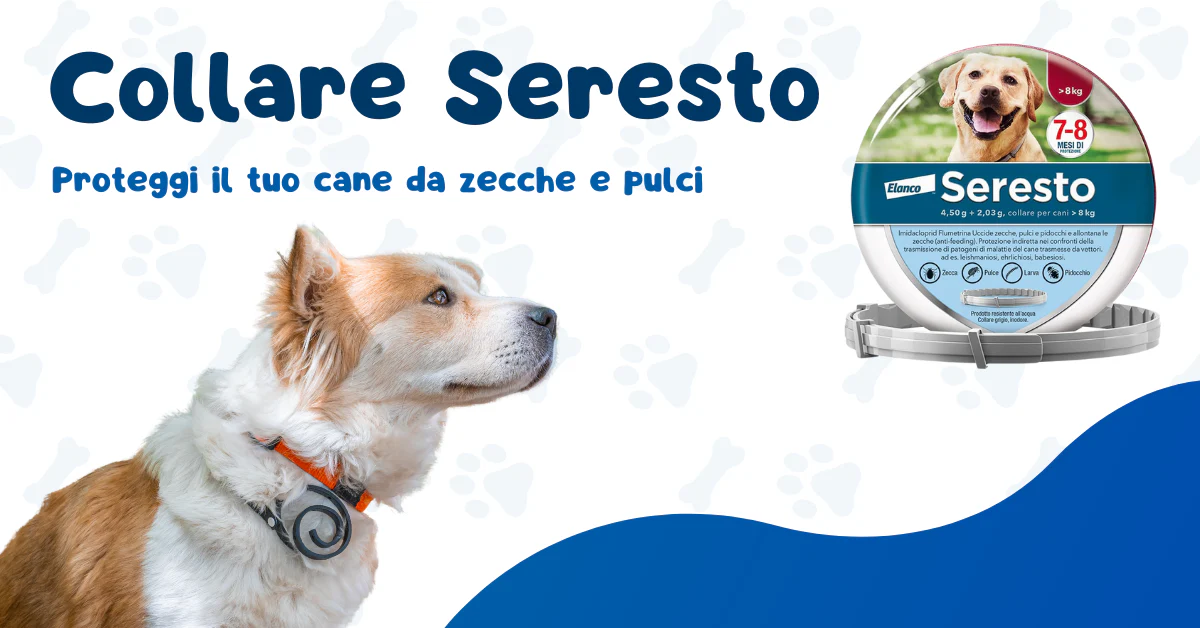 Eccellenza per Ogni Tuo Animale